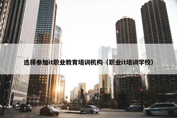 选择参加it职业教育培训机构（职业it培训学校）