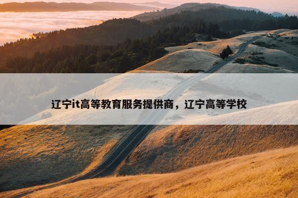 辽宁it高等教育服务提供商，辽宁高等学校