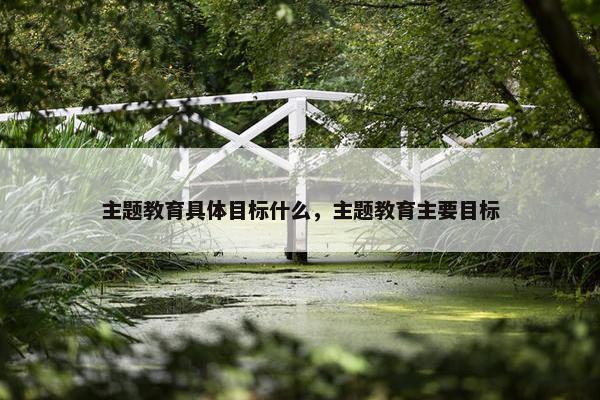 主题教育具体目标什么，主题教育主要目标