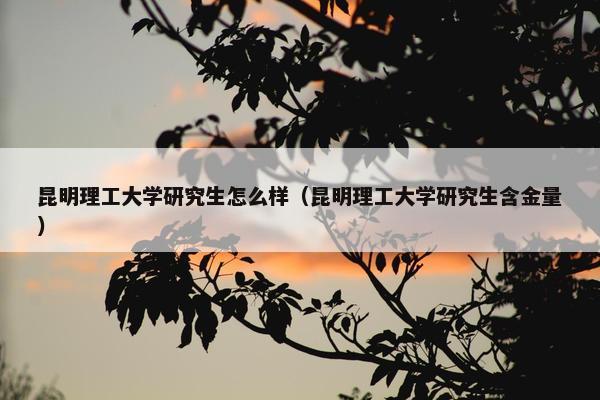 昆明理工大学研究生怎么样（昆明理工大学研究生含金量）