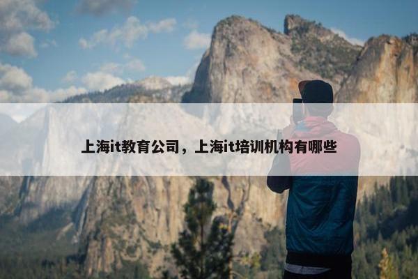 上海it教育公司，上海it培训机构有哪些