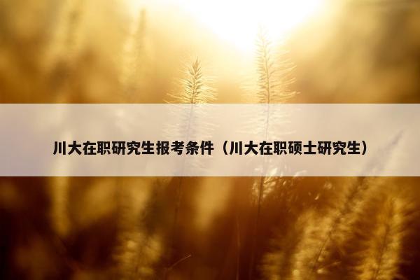 川大在职研究生报考条件（川大在职硕士研究生）
