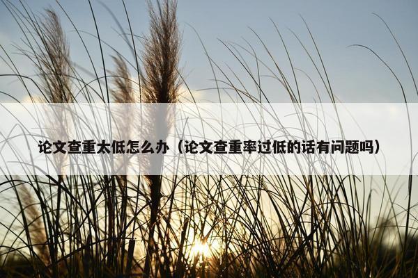 论文查重太低怎么办（论文查重率过低的话有问题吗）