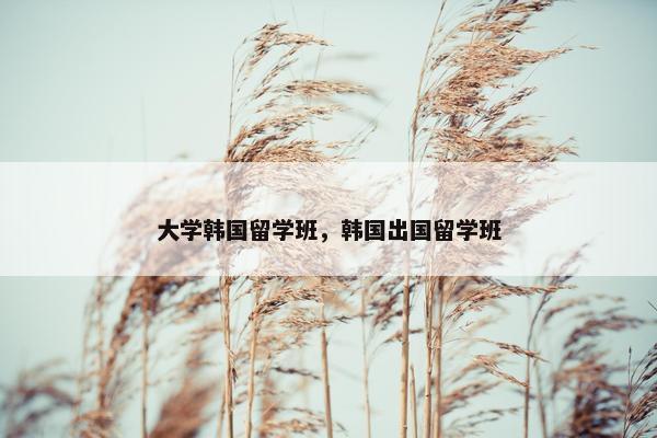 大学韩国留学班，韩国出国留学班