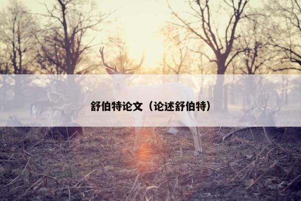 舒伯特论文（论述舒伯特）