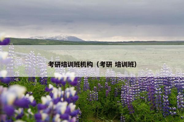 考研培训班机构（考研 培训班）
