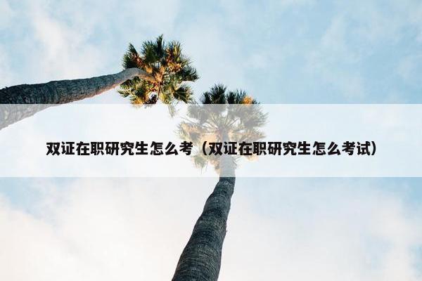 双证在职研究生怎么考（双证在职研究生怎么考试）