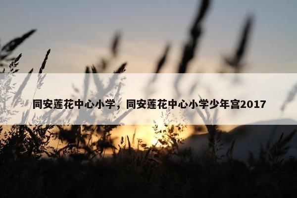 同安莲花中心小学，同安莲花中心小学少年宫2017