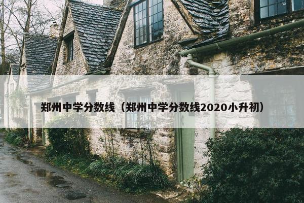 郑州中学分数线（郑州中学分数线2020小升初）