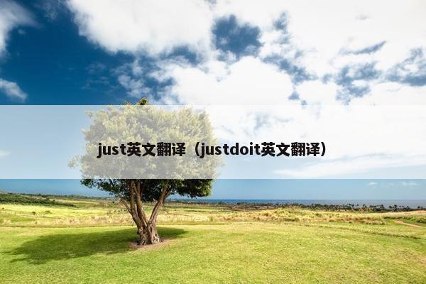 just英文翻译（justdoit英文翻译）