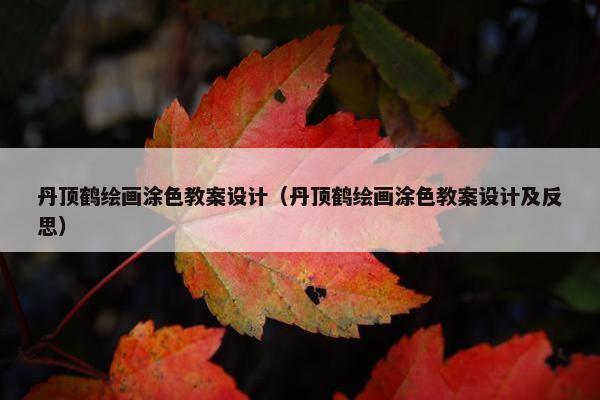 丹顶鹤绘画涂色教案设计（丹顶鹤绘画涂色教案设计及反思）