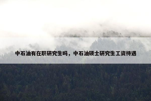 中石油有在职研究生吗，中石油硕士研究生工资待遇