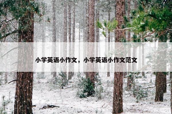 小学英语小作文，小学英语小作文范文