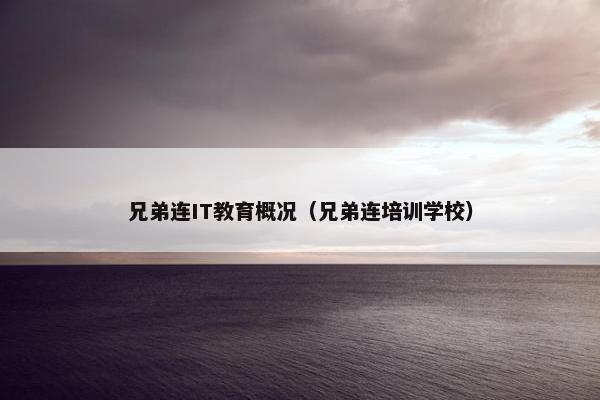 兄弟连IT教育概况（兄弟连培训学校）