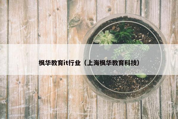 枫华教育it行业（上海枫华教育科技）