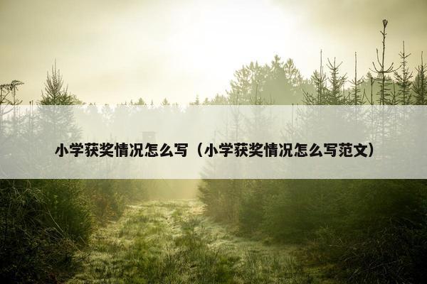 小学获奖情况怎么写（小学获奖情况怎么写范文）