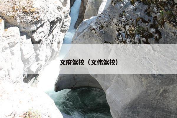 文府驾校（文伟驾校）