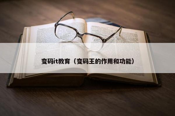 变码it教育（变码王的作用和功能）