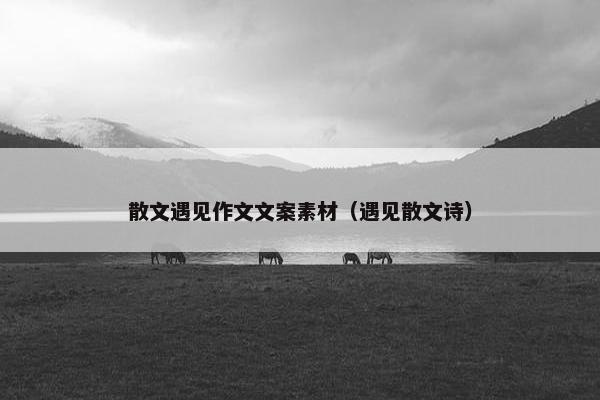 散文遇见作文文案素材（遇见散文诗）