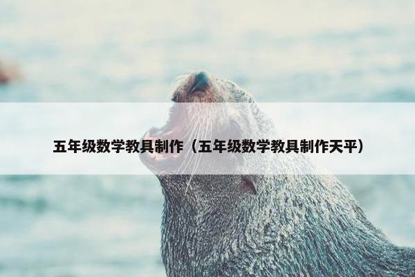 五年级数学教具制作（五年级数学教具制作天平）