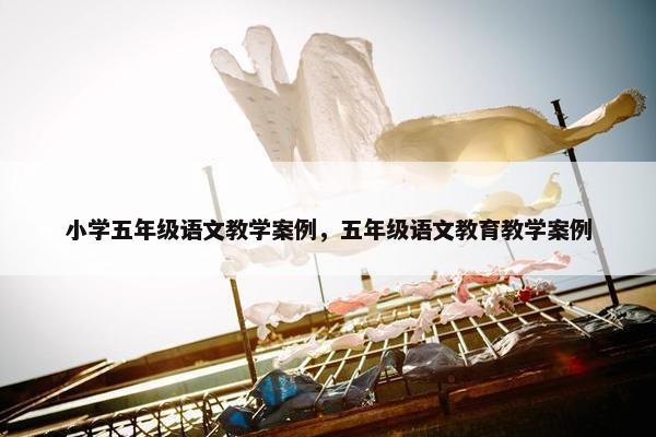 小学五年级语文教学案例，五年级语文教育教学案例