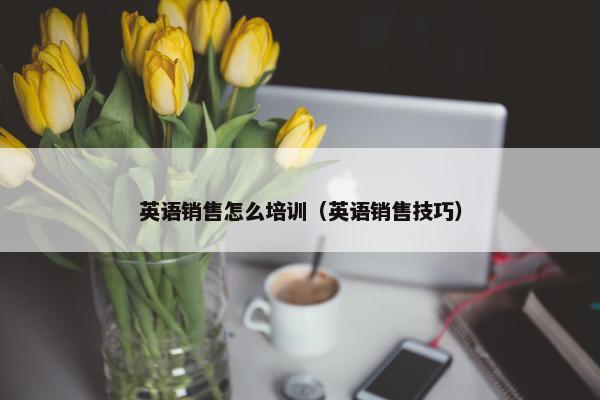 英语销售怎么培训（英语销售技巧）