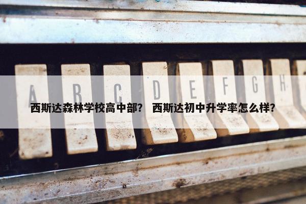 西斯达森林学校高中部？ 西斯达初中升学率怎么样？