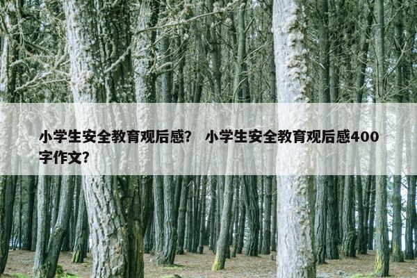 小学生安全教育观后感？ 小学生安全教育观后感400字作文？