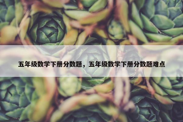 五年级数学下册分数题，五年级数学下册分数题难点