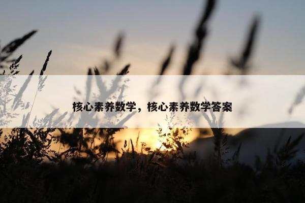核心素养数学，核心素养数学答案