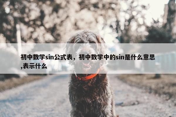 初中数学sin公式表，初中数学中的sin是什么意思,表示什么