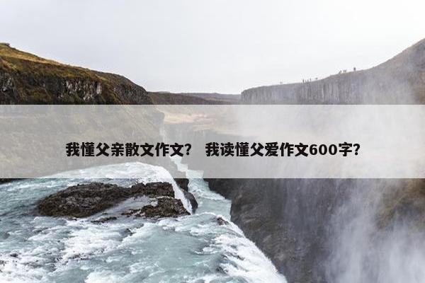 我懂父亲散文作文？ 我读懂父爱作文600字？