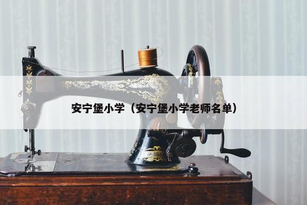 安宁堡小学（安宁堡小学老师名单）