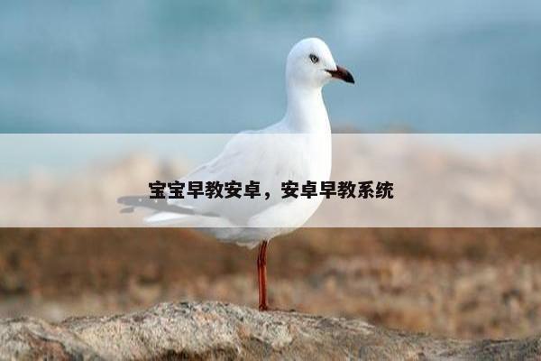 宝宝早教安卓，安卓早教系统