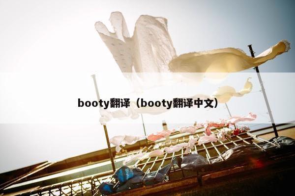 booty翻译（booty翻译中文）