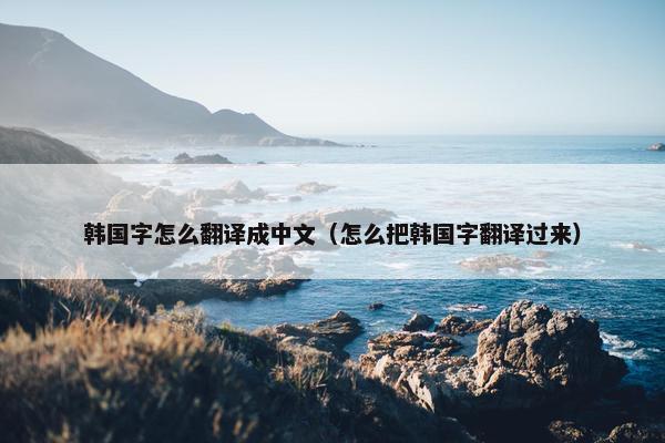 韩国字怎么翻译成中文（怎么把韩国字翻译过来）