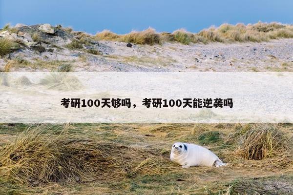 考研100天够吗，考研100天能逆袭吗
