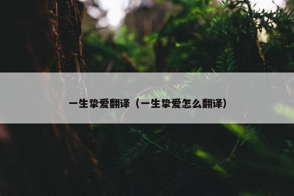 一生挚爱翻译（一生挚爱怎么翻译）