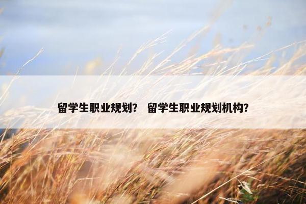 留学生职业规划？ 留学生职业规划机构？
