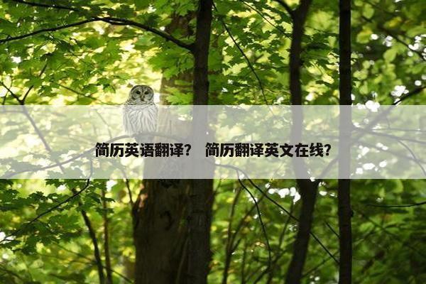 简历英语翻译？ 简历翻译英文在线？