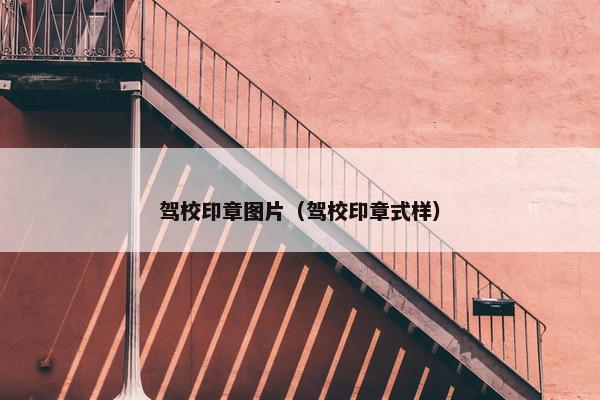 驾校印章图片（驾校印章式样）