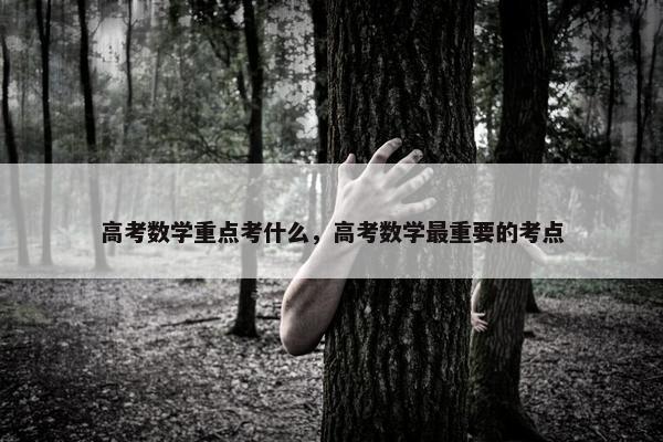 高考数学重点考什么，高考数学最重要的考点