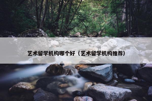 艺术留学机构哪个好（艺术留学机构推荐）