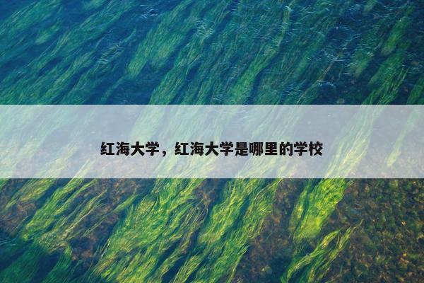 红海大学，红海大学是哪里的学校