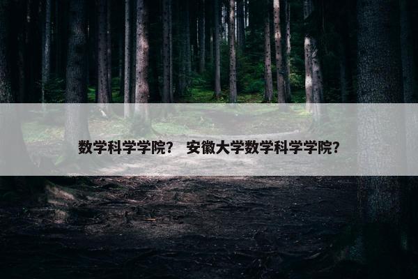数学科学学院？ 安徽大学数学科学学院？