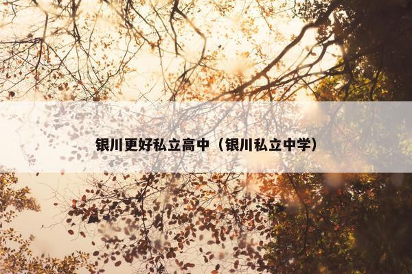 银川更好私立高中（银川私立中学）