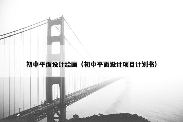 初中平面设计绘画（初中平面设计项目计划书）