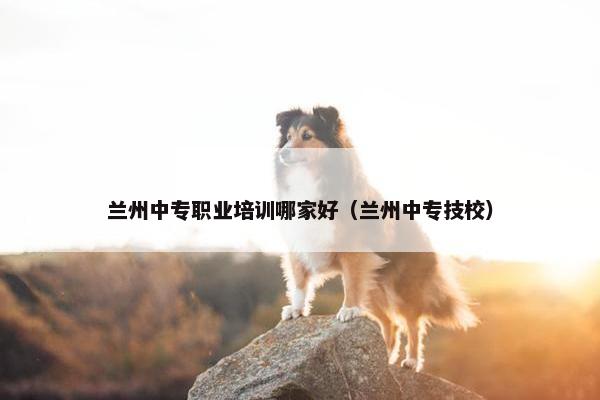 兰州中专职业培训哪家好（兰州中专技校）