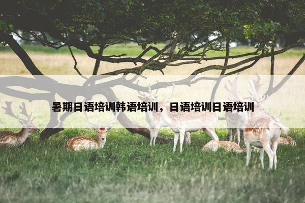 暑期日语培训韩语培训，日语培训日语培训