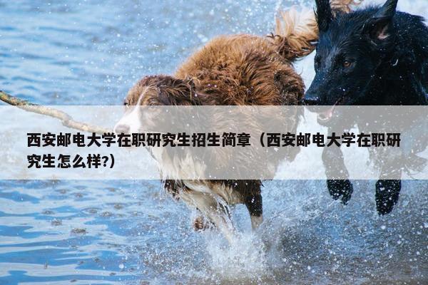西安邮电大学在职研究生招生简章（西安邮电大学在职研究生怎么样?）